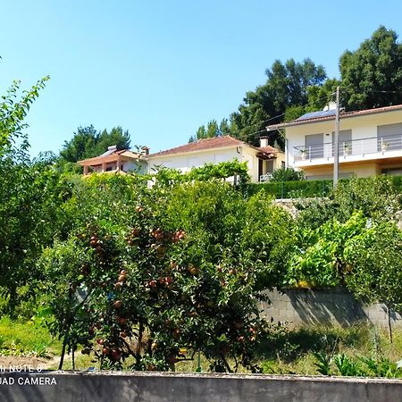 ארוקה Bellavista Alojamento מראה חיצוני תמונה